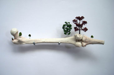 Peter Bodenham, Visual Artwork